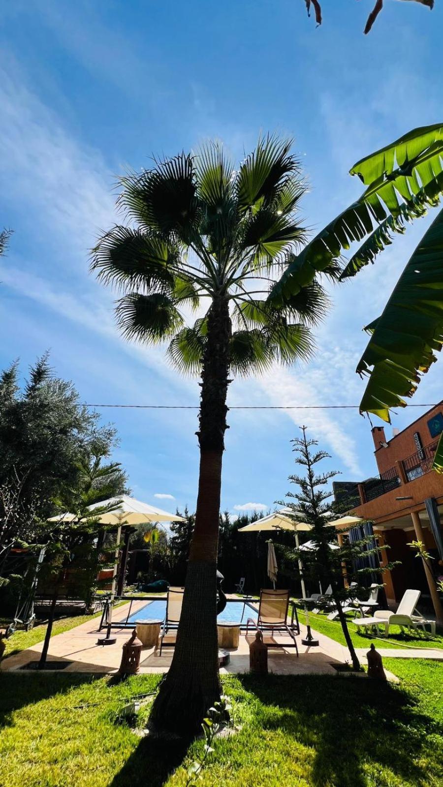 Ilafe Farmhouse, Avec Piscine Chauffée Privée Et Jacuzzi Pour Familles Villa